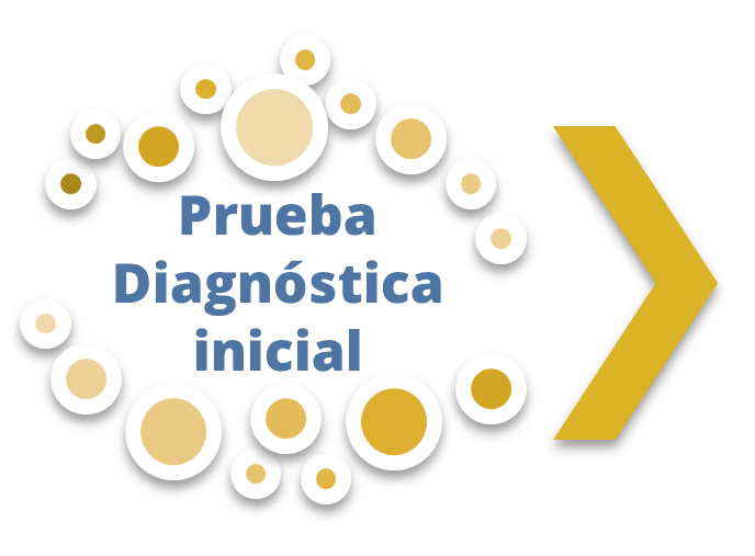 Imagen de prueba diagnóstica